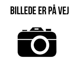 Sune Brink Nielsen